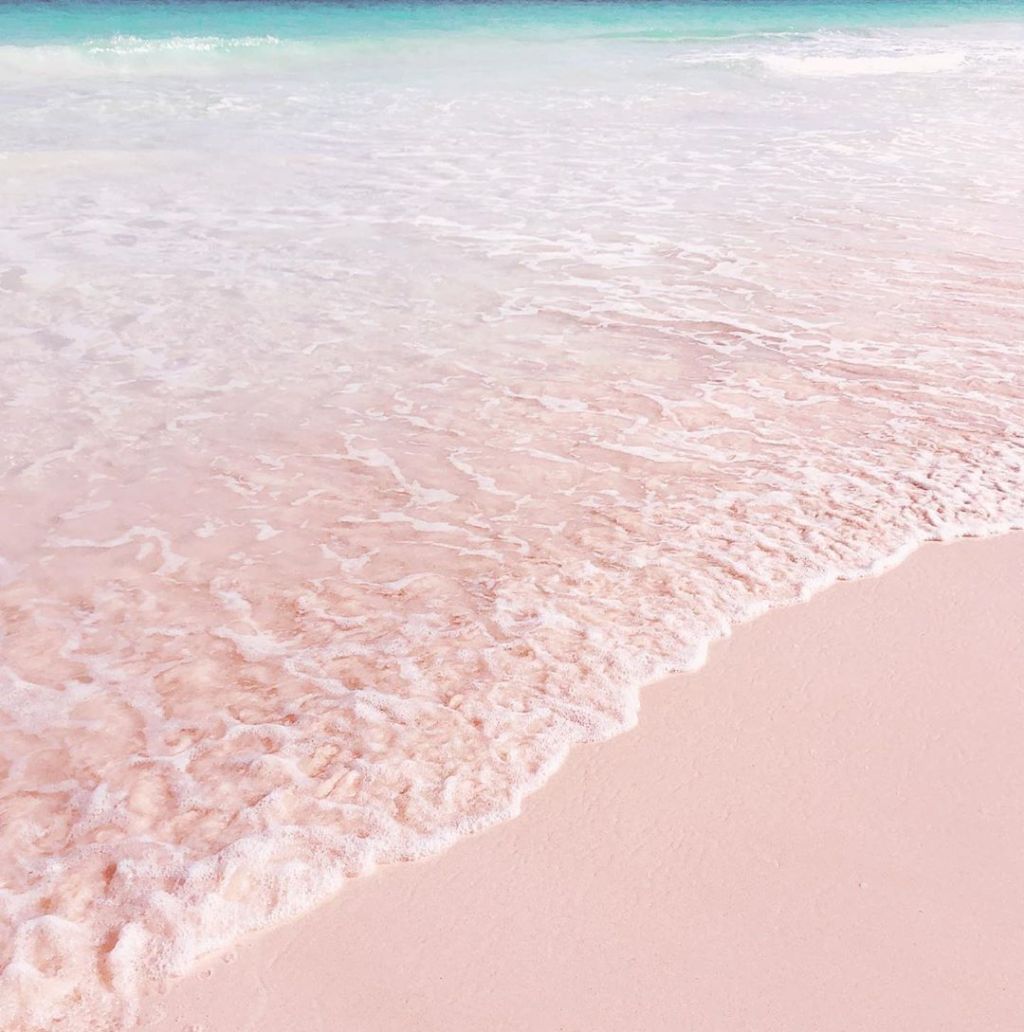 Pink Sands Beach Uncovered: Tips, Secrets, and Must-Dos in the Bahamas